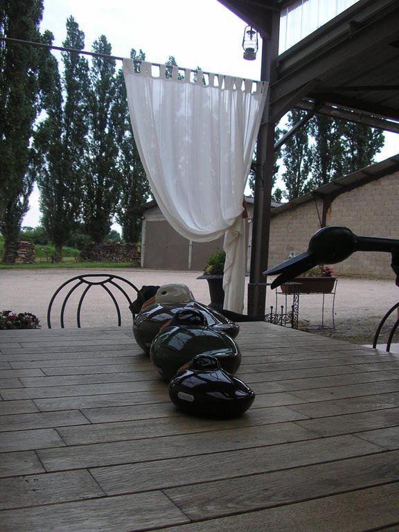 Domaine De La Belliere Hotel Villars-les-Dombes Eksteriør billede