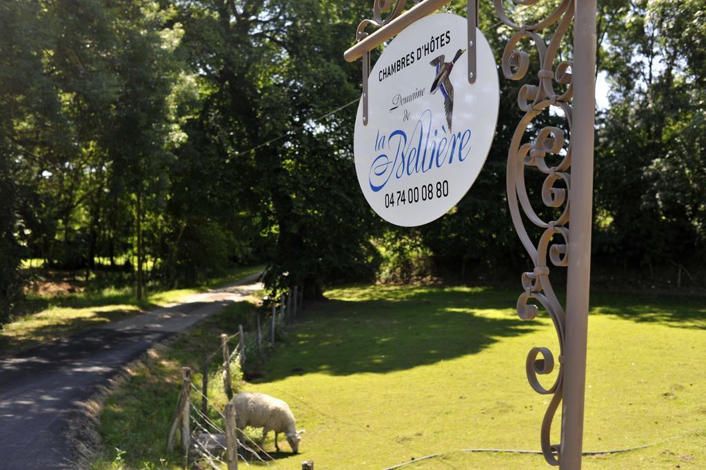 Domaine De La Belliere Hotel Villars-les-Dombes Eksteriør billede